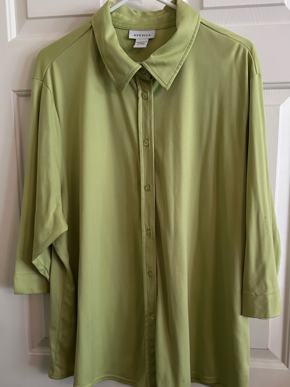 Avenue Woman’s Light Green Button-Up Shirt